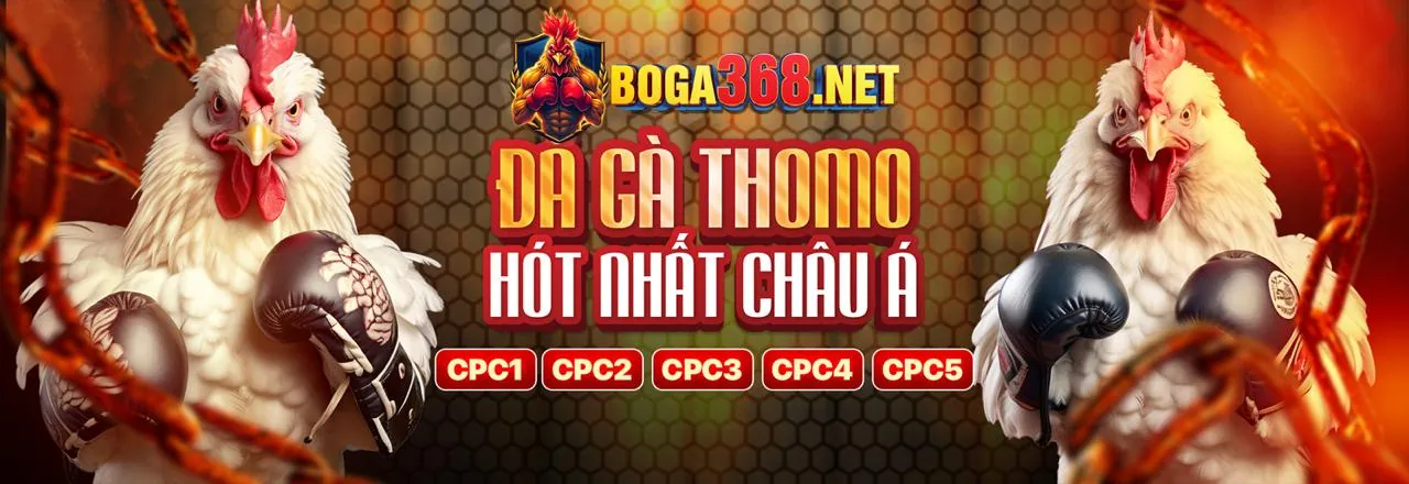 Hướng dẫn đăng ký và đăng nhập Vipbet