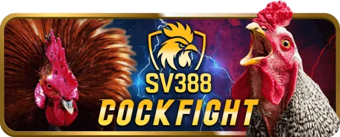 Đảm bảo an toàn và công bằng tại Vipbet