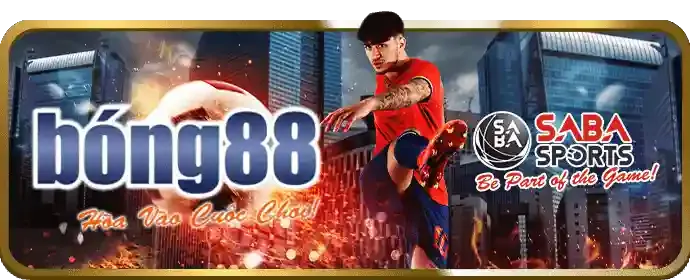 Vị thế thương hiệu Vipbet
